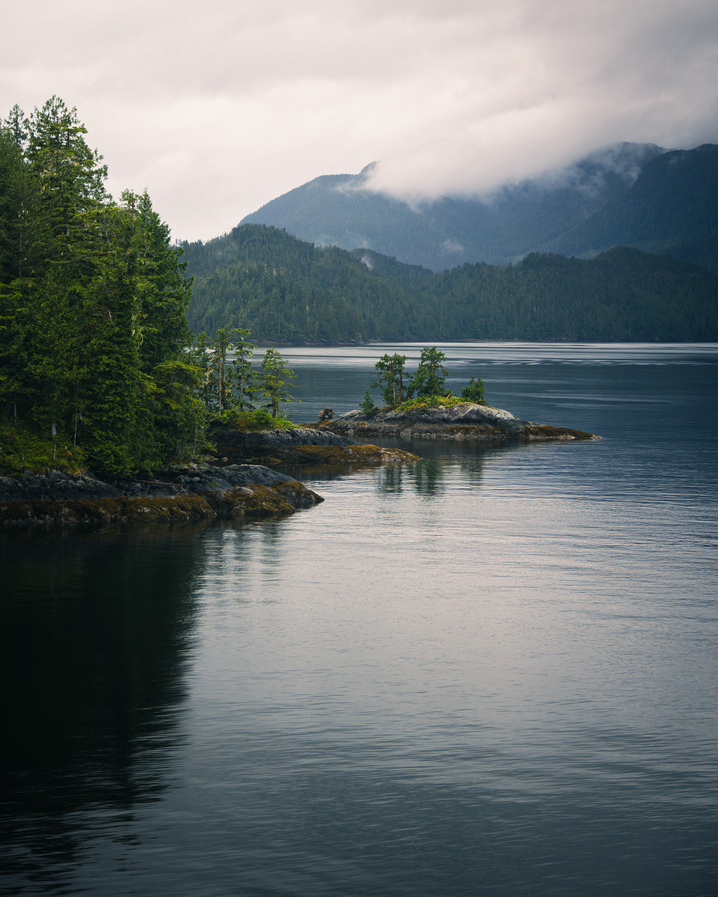 Rocky islet with trees reflected in a calm coastal inlet, misty mountains behind