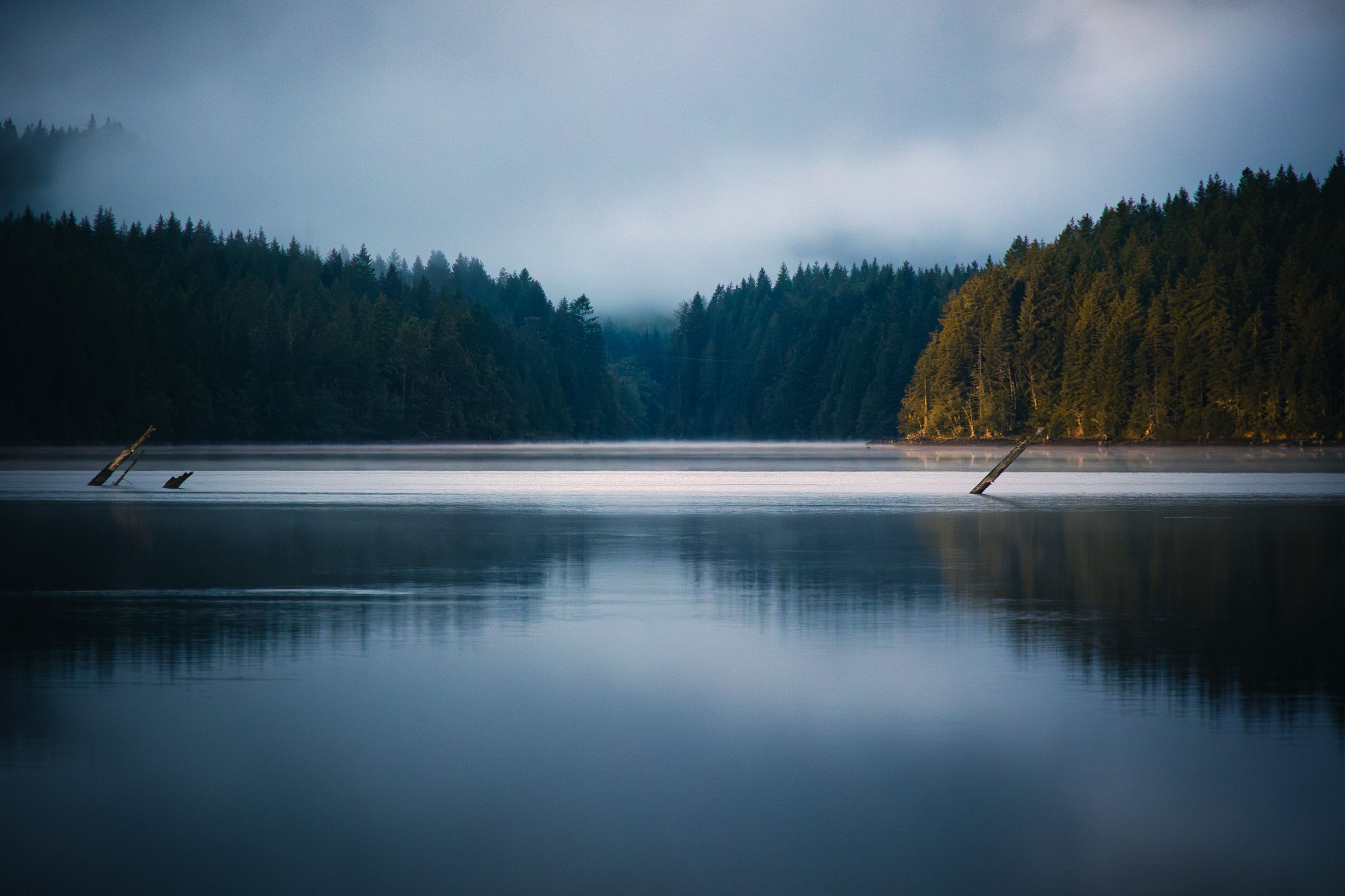 Still water at Campbell Lake at dusk, dark forest and low mist with leaning snags