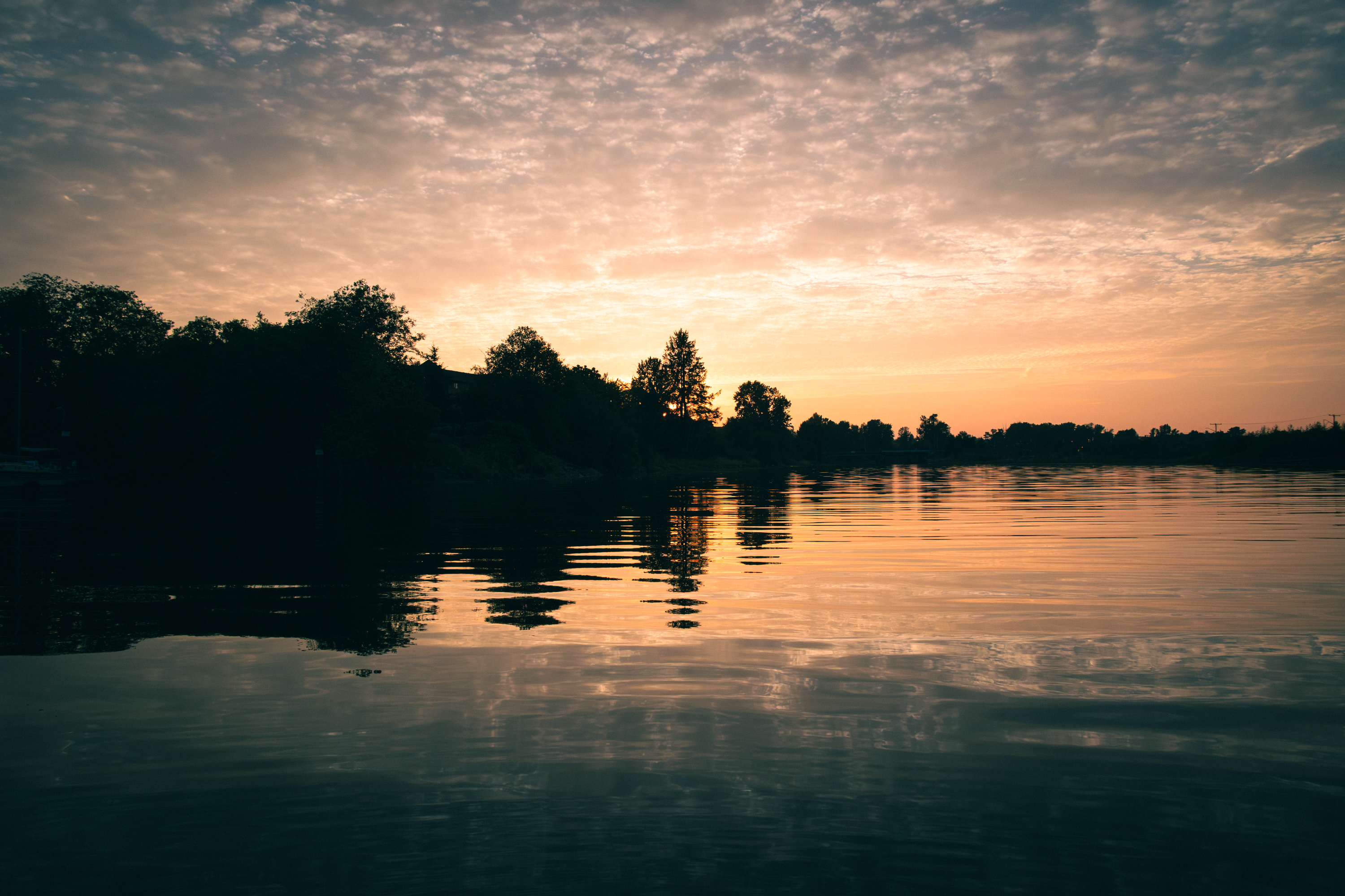 Wide sunset over the Courtenay river with silhouetted trees and warm reflected clouds